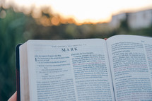 Bible opened to Mark outdoors 