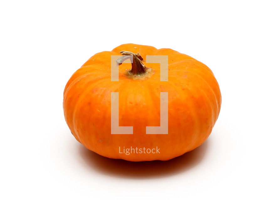 orange pumpkin 