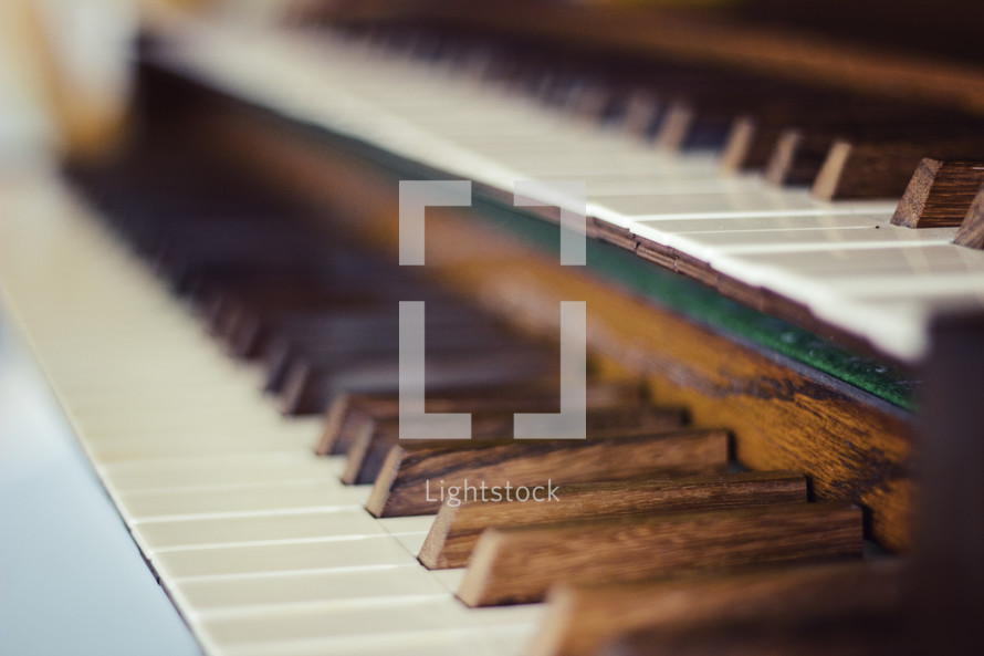 An organ keyboard.