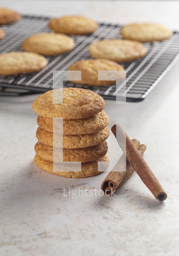 Snickerdoodle Cookies on a Marble Kitchen Countertop