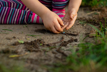 little girl playing with earthworms