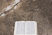 opened Bible on asphalt 