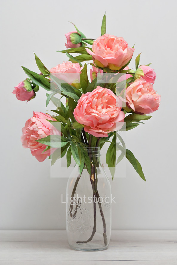 Pink Peony Flowers in Vase