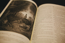Open Bible pages with a lithograph drawing.