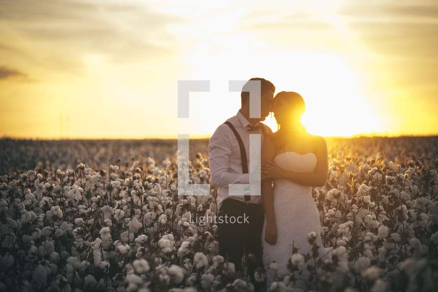 A bride and groom in a field of cotton 