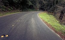 curve on a road through a forest 