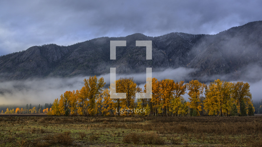low hanging clouds over a forest in a valley 