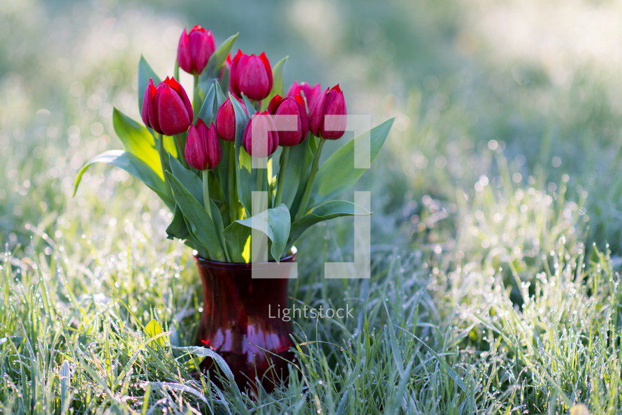 A vase of red tulips in the grass.