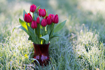 A vase of red tulips in the grass.