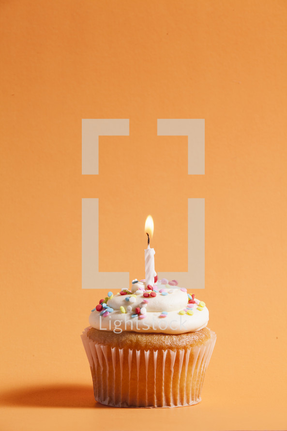 cupcake against an orange background 