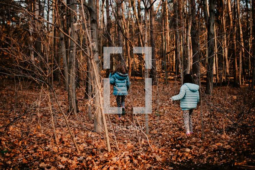 children hiking through the fall woods
