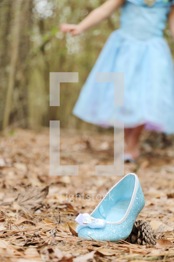 Cinderella's slipper 