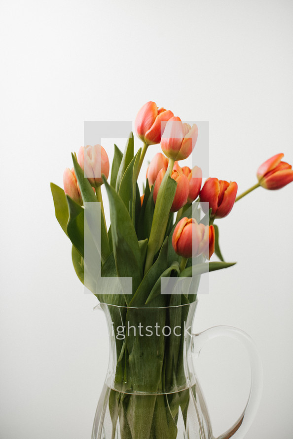 a bouquet of spring tulips 
