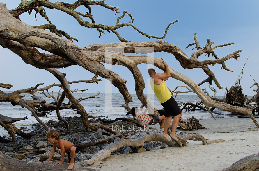 father and son playing in a fallen tree on a beach 