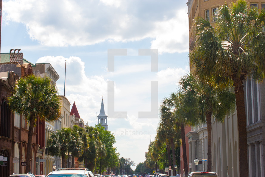 palm trees lining city sidewalks