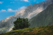 Tree and rocky peaks in summer