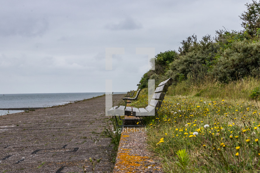 benches along a shore 