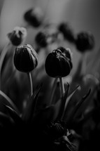 Minimal black texture background with flowers
