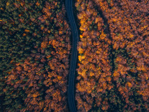 aerial view above a road through an autumn forest 