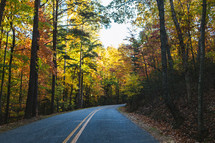 curve in a road and fall leaves on surrounding trees 