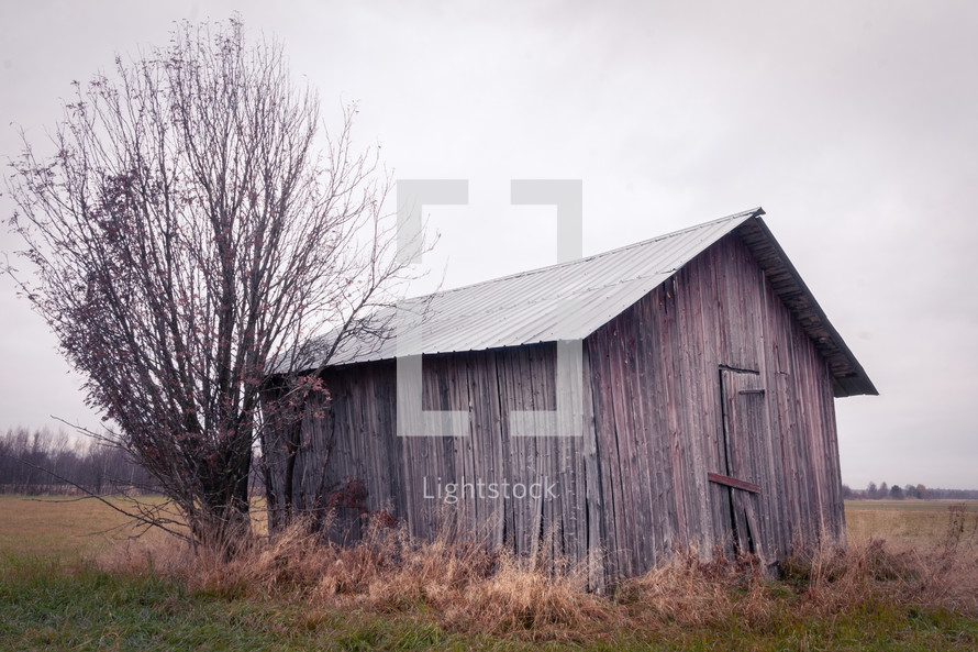 An abandoned shack on a field