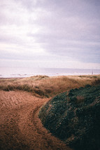 dunes along a shore 