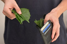 A Leather Wallet Stuffed With Leaves As Cash Money