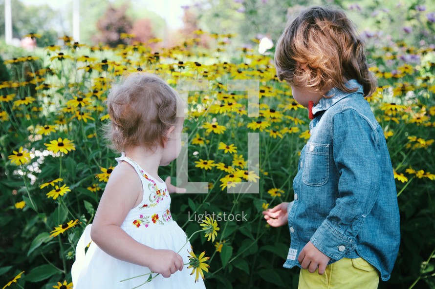 toddlers in a field of daisies 