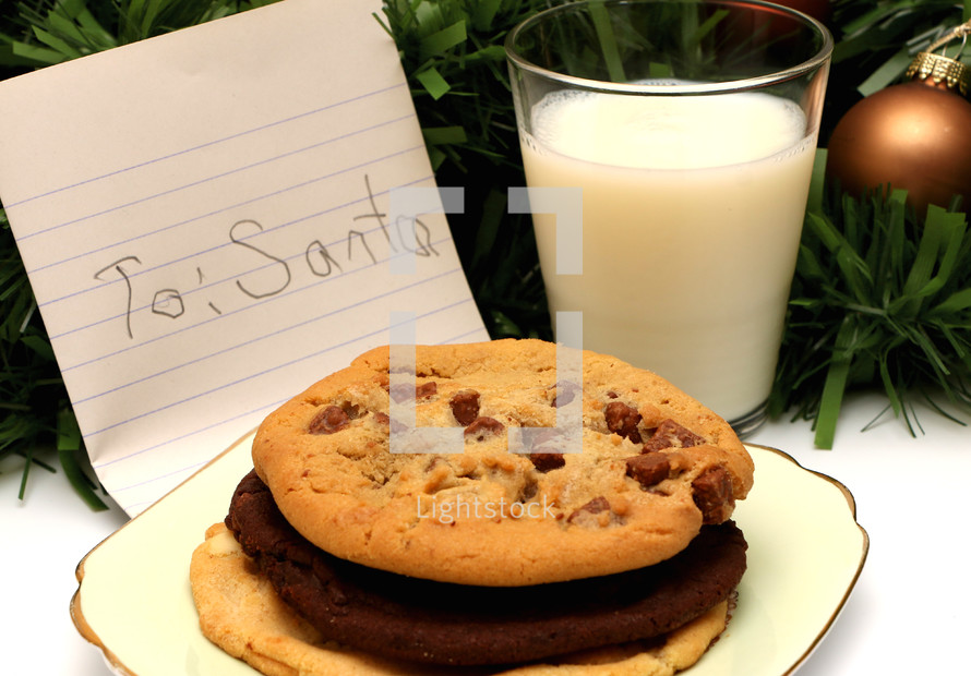 cookies and milk for Santa 