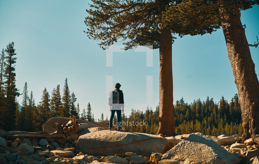 A person standing on a rock looking out at the forest.