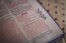 notes on pages of a Bible 