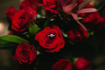 engagement ring in red roses 