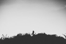 silhouette of a couple kissing on hilltop 