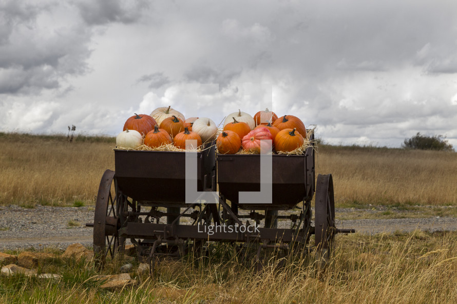 wagon full of pumpkins 