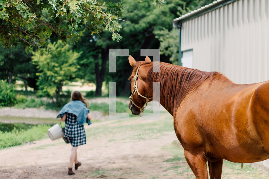 a horse watching a girl with a feed bucket 