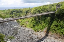 a bridge over a ravine supported by cables 