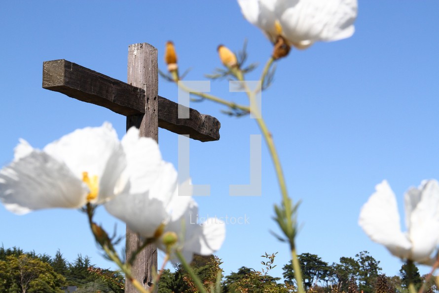 An outdoor wooden cross with white flowers in the foreground.