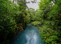 Blue River running through a jungle in Costa Rica