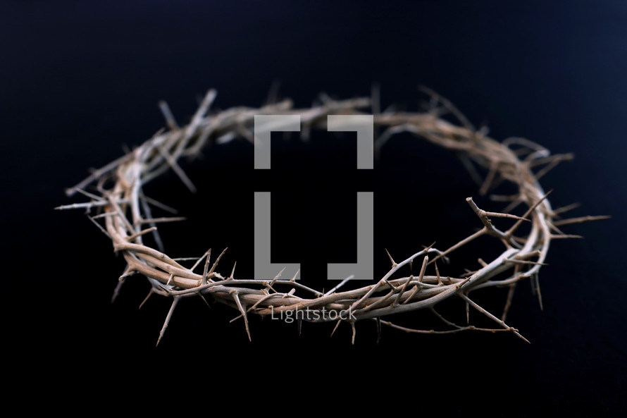 crown of thorns on black background 