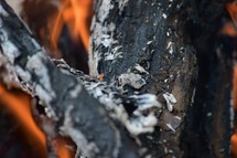 fire and charred wood 