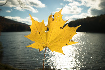 yellow fall leaf and lake scene 