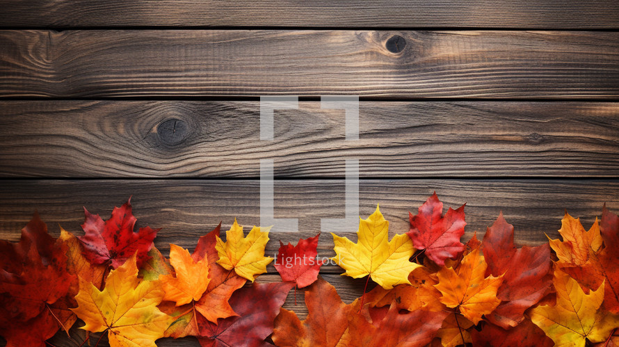 Fall autumn leaves on a wood background. 