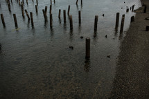 old wood pier pilings in a river 