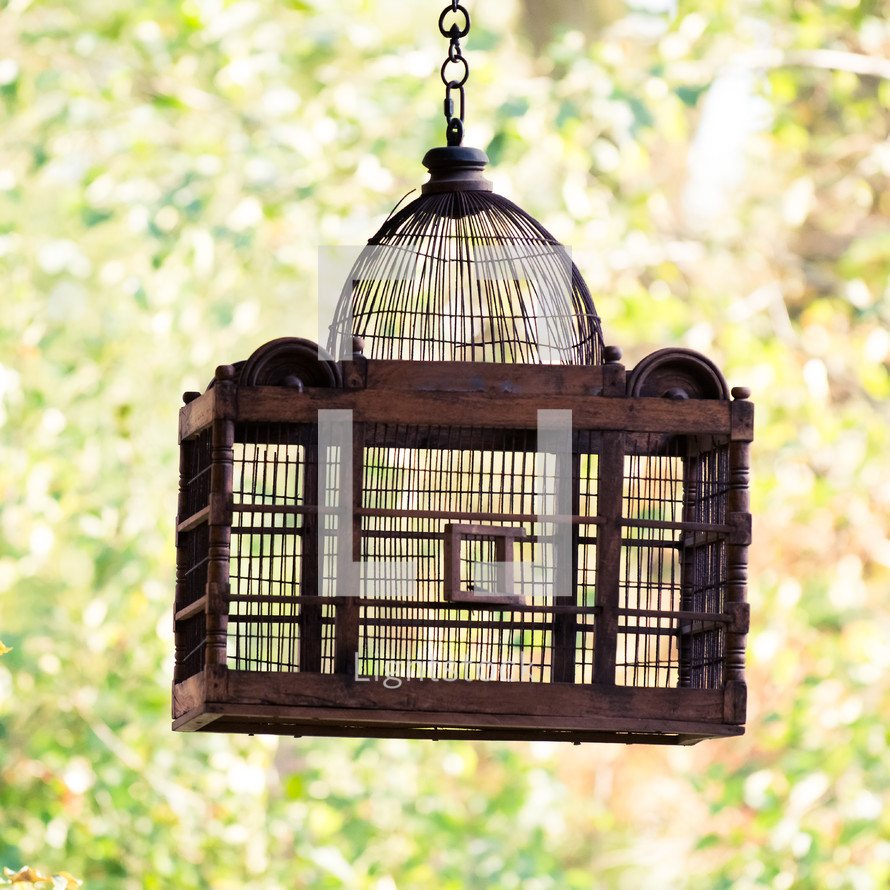 hanging bird cage 