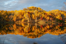 Fall Landscape 