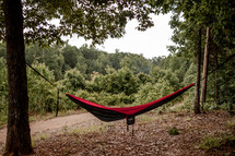 a hammock between two trees 