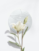 white lily and broken mirror 