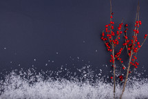 red berries and snow border 