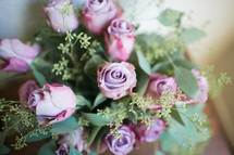 purple roses 