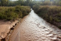 a stream through dense vegetation in the plains 